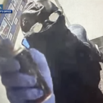 Paddlefish restaurant suspect